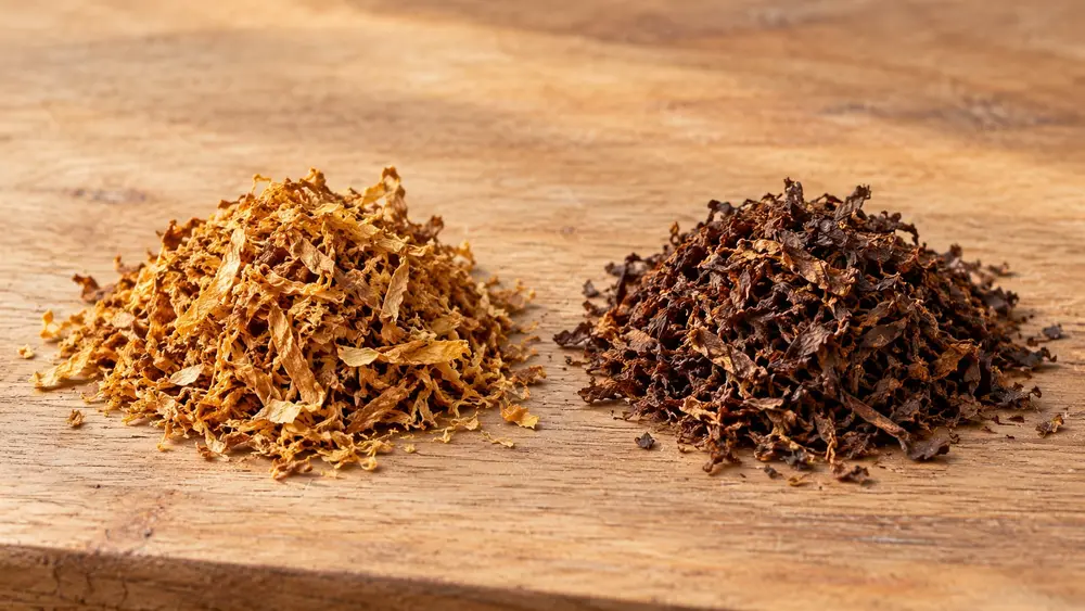 Tabac blond et tabac brun côte à côte (illustration générée par IA)